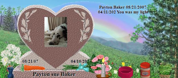 Payton sue Baker's Rainbow Bridge Pet Loss Memorial Residency Image