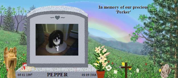 PEPPER's Rainbow Bridge Pet Loss Memorial Residency Image
