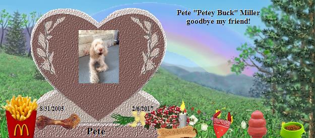 Pete's Rainbow Bridge Pet Loss Memorial Residency Image