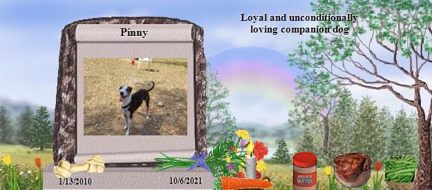 Pinny's Rainbow Bridge Pet Loss Memorial Residency Image