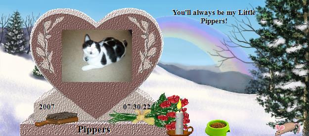 Pippers's Rainbow Bridge Pet Loss Memorial Residency Image
