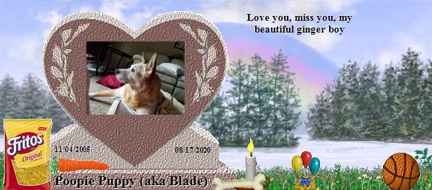 Poopie Puppy (aka Blade)'s Rainbow Bridge Pet Loss Memorial Residency Image