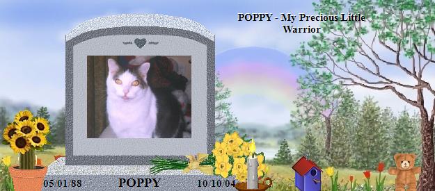 POPPY's Rainbow Bridge Pet Loss Memorial Residency Image