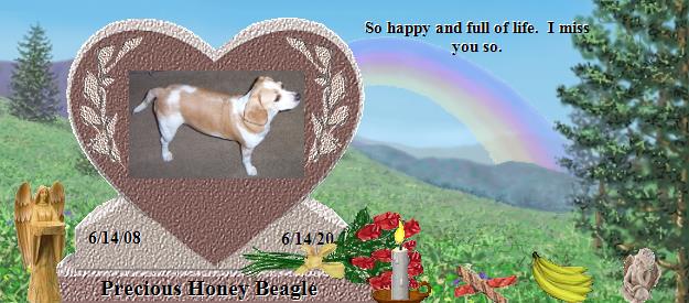 Precious Honey Beagle's Rainbow Bridge Pet Loss Memorial Residency Image