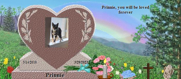 Prinnie's Rainbow Bridge Pet Loss Memorial Residency Image