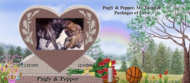 Pugly & Pepper's Rainbow Bridge Pet Loss Memorial Residency Image