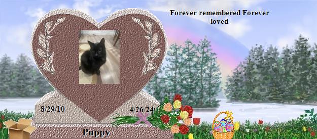 Puppy's Rainbow Bridge Pet Loss Memorial Residency Image