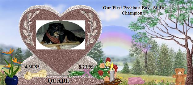 QUADE's Rainbow Bridge Pet Loss Memorial Residency Image