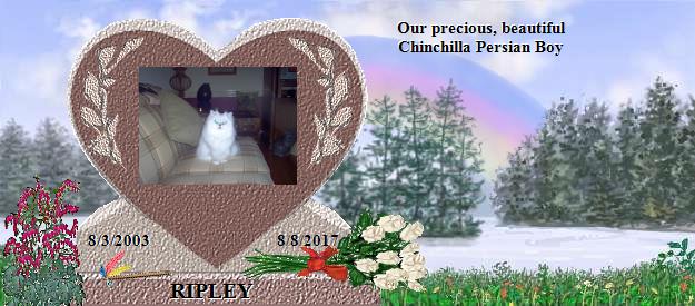 RIPLEY's Rainbow Bridge Pet Loss Memorial Residency Image