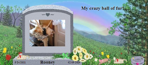 Rooney's Rainbow Bridge Pet Loss Memorial Residency Image