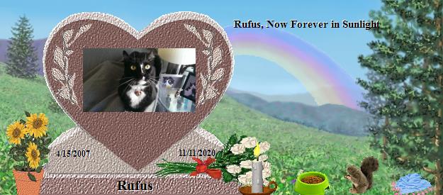 Rufus's Rainbow Bridge Pet Loss Memorial Residency Image