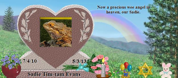 Sadie Tim-tam Evans's Rainbow Bridge Pet Loss Memorial Residency Image