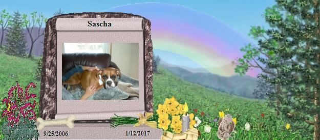 Sascha's Rainbow Bridge Pet Loss Memorial Residency Image