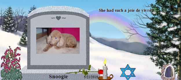 Snoogie's Rainbow Bridge Pet Loss Memorial Residency Image