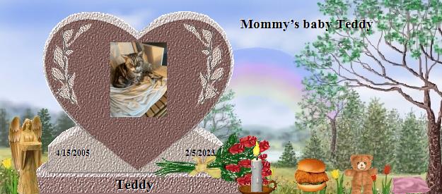 Teddy's Rainbow Bridge Pet Loss Memorial Residency Image