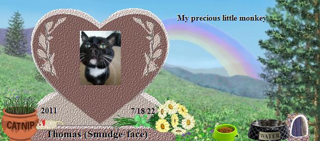 Thomas (Smudge-face)'s Rainbow Bridge Pet Loss Memorial Residency Image