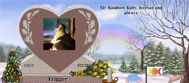 Trigger's Rainbow Bridge Pet Loss Memorial Residency Image