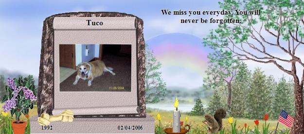 Tuco's Rainbow Bridge Pet Loss Memorial Residency Image
