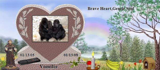 Vumilia's Rainbow Bridge Pet Loss Memorial Residency Image