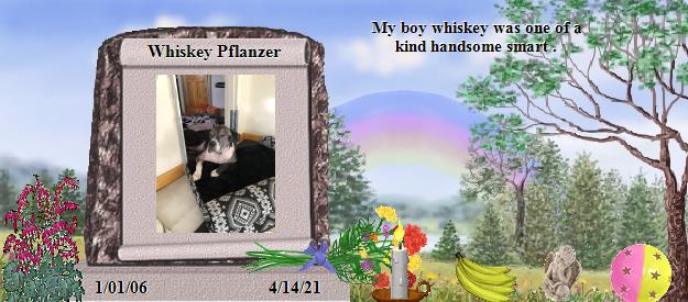 Whiskey Pflanzer's Rainbow Bridge Pet Loss Memorial Residency Image