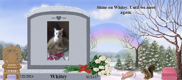 Whitey's Rainbow Bridge Pet Loss Memorial Residency Image