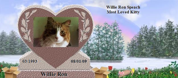 Willie Ron's Rainbow Bridge Pet Loss Memorial Residency Image