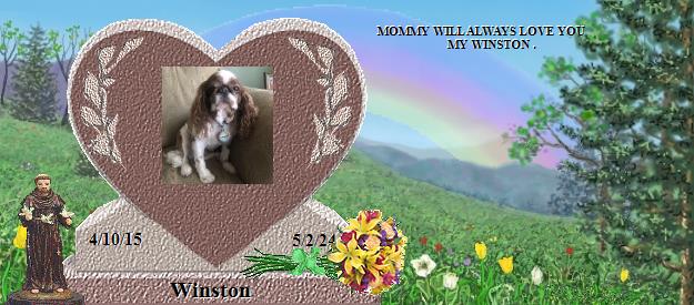 Winston's Rainbow Bridge Pet Loss Memorial Residency Image