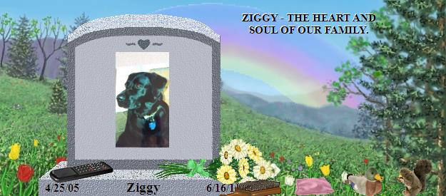 Ziggy's Rainbow Bridge Pet Loss Memorial Residency Image