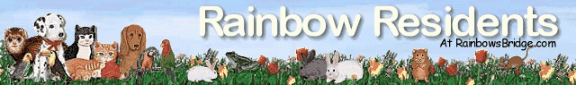 Rainbows Bridge