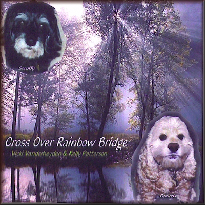 Cross Over Rainbow Bridge Cross Over Rainbow Bridge