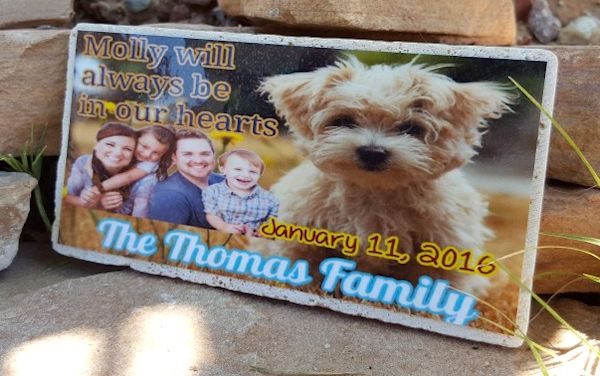 Pet Memory Stones dog