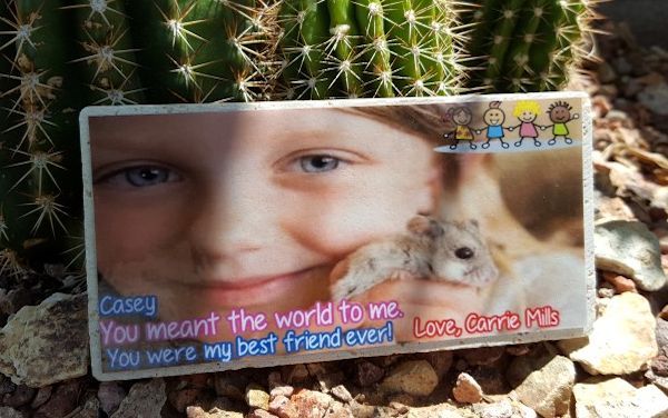 Pet Memory Stones mouse