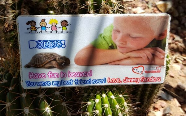 Pet Memory Stones turtle