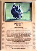 Engraved Rainbow Bridge Poem Wooden Plaque with Photo Frame