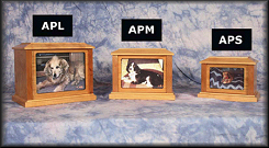 Photo Collection