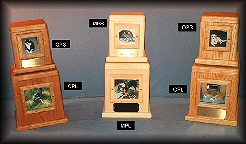 Photo Frame Collection