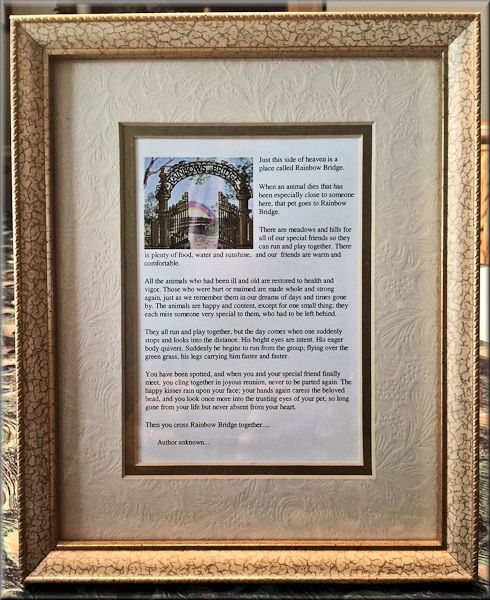 Rainbow Bridge Pin & Pom Set Rainbow Bridge Poem