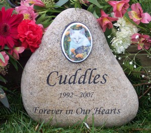 rainbow bridge pet memorial stones