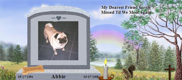 Abbie's Rainbow Bridge Pet Loss Memorial Residency Image