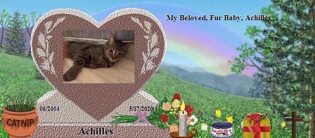 Achilles's Rainbow Bridge Pet Loss Memorial Residency Image