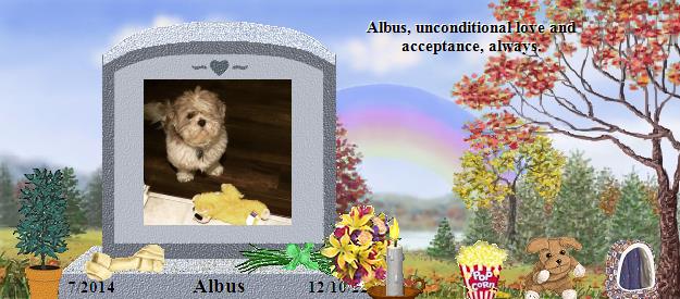 Albus's Rainbow Bridge Pet Loss Memorial Residency Image