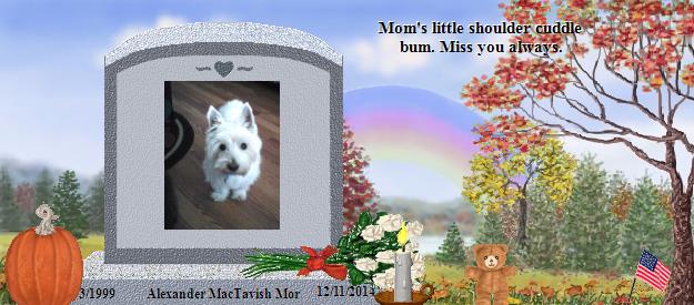 Alexander MacTavish Mor's Rainbow Bridge Pet Loss Memorial Residency Image