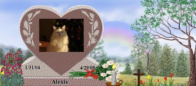 Alexis's Rainbow Bridge Pet Loss Memorial Residency Image