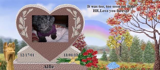 Alfie's Rainbow Bridge Pet Loss Memorial Residency Image