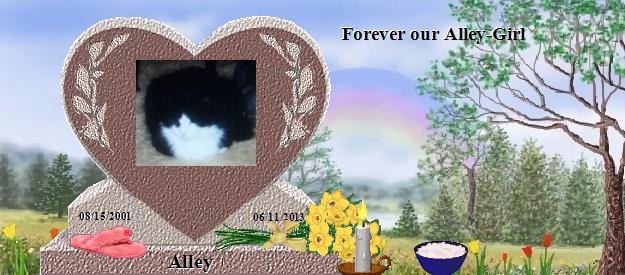 Alley's Rainbow Bridge Pet Loss Memorial Residency Image