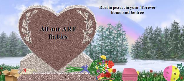All our ARF Babies's Rainbow Bridge Pet Loss Memorial Residency Image