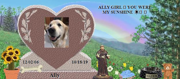 Ally's Rainbow Bridge Pet Loss Memorial Residency Image