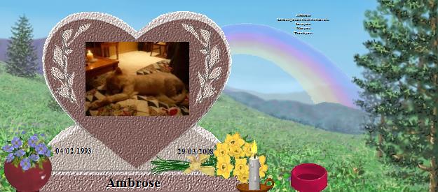 Ambrose's Rainbow Bridge Pet Loss Memorial Residency Image