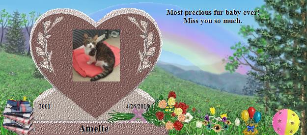 Amelie's Rainbow Bridge Pet Loss Memorial Residency Image