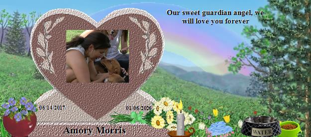 Amory Morris's Rainbow Bridge Pet Loss Memorial Residency Image